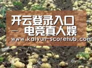 种植基地八(图1)