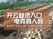 种植基地七(图1)