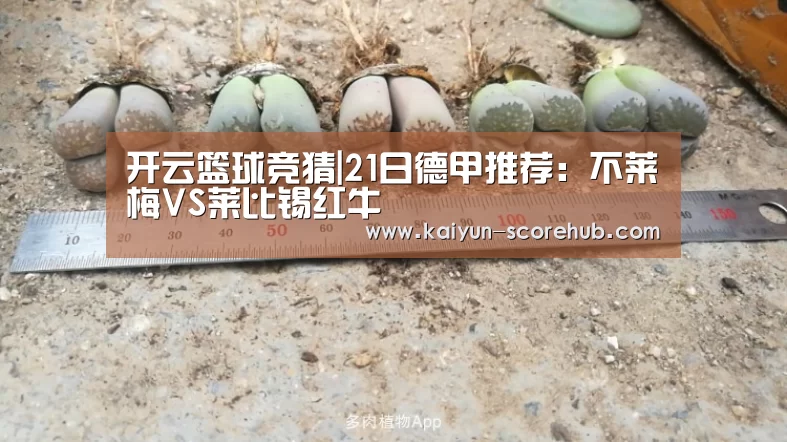 开云篮球竞猜|21日德甲推荐:不莱梅VS莱比锡红牛(图2) 开云登录入口